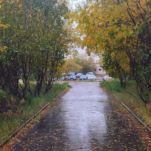 Фотография #14100789