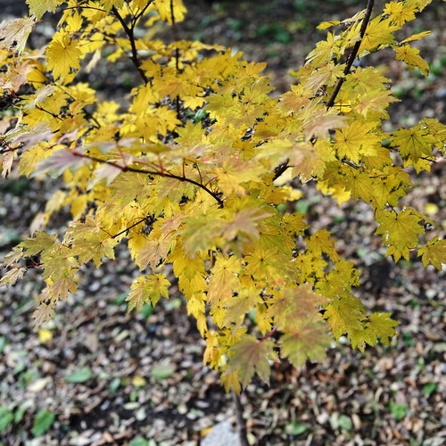 Photo #14100819
