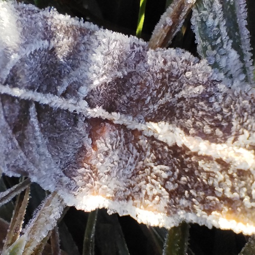 Photo #14100851