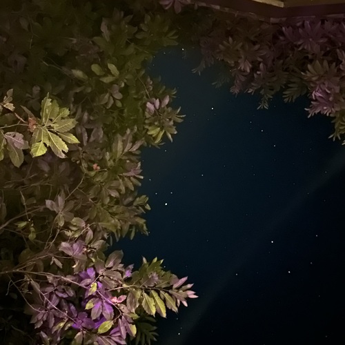 Photo #14100885