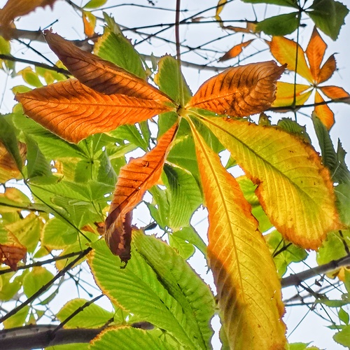 Photo #14100954