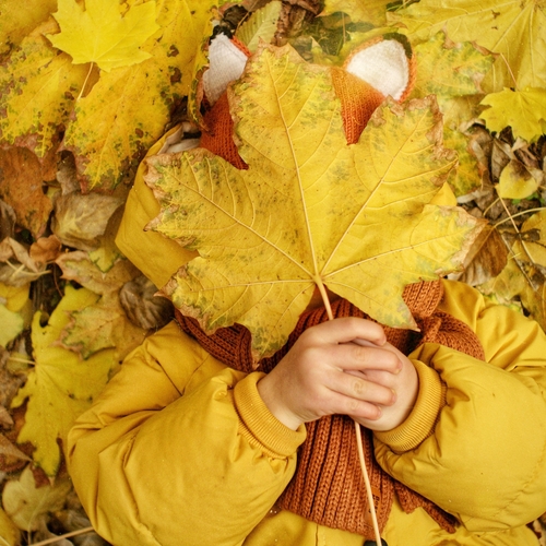 Photo #14101023