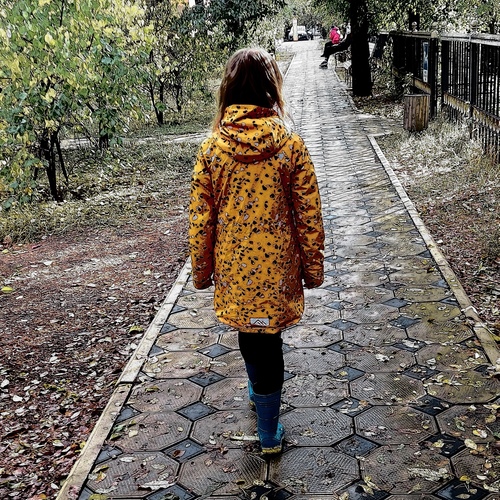 Photo #14101069