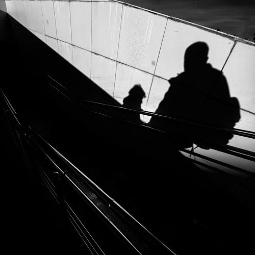 Photo #14101125