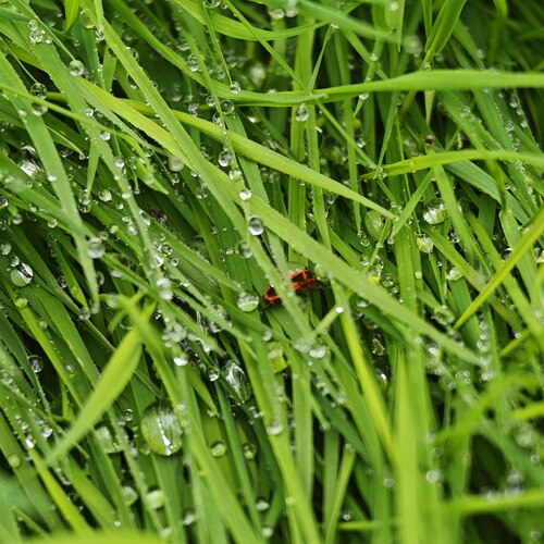 Photo #14101223