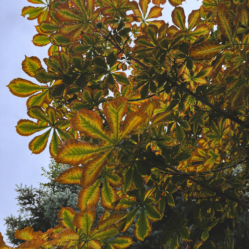 Photo #14101233