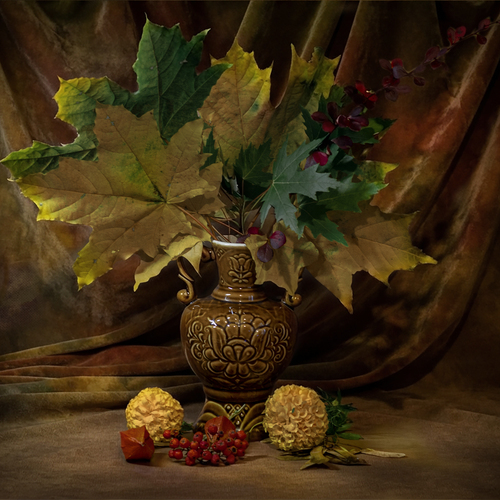 Photo #14101268
