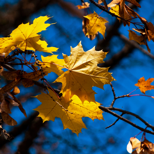 Photo #14101341