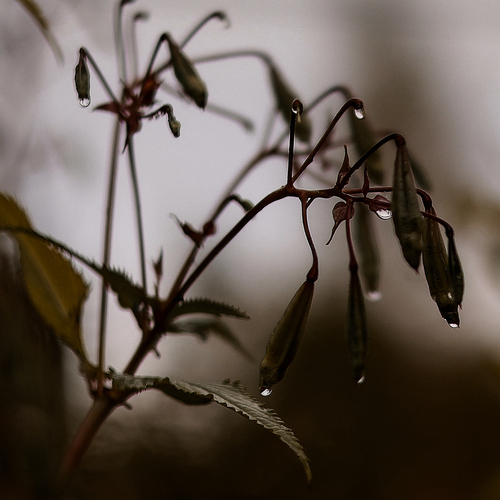 Photo #14101347