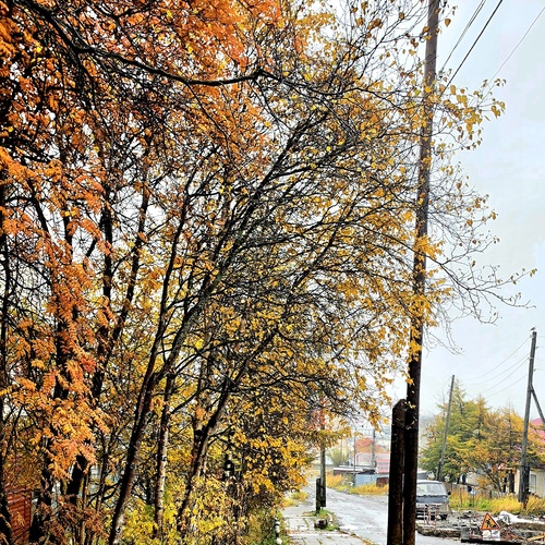 Photo #14101362