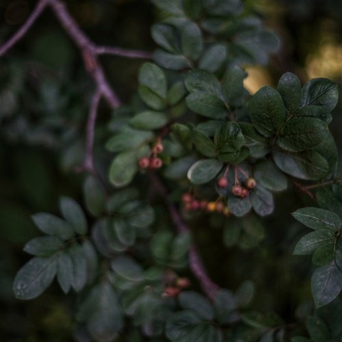 Photo #14101419