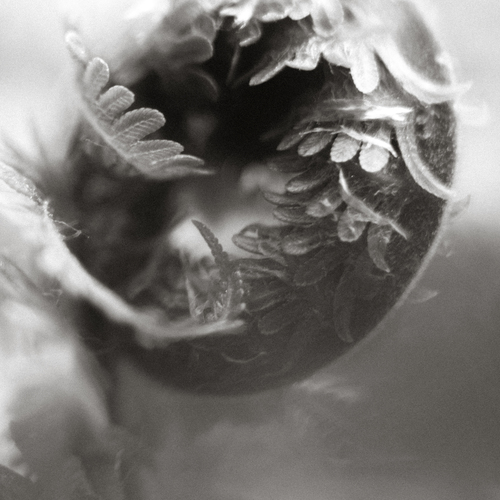 Photo #14101430