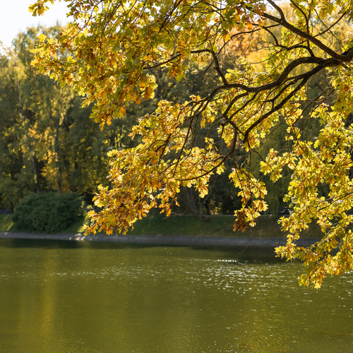 Photo #14101494