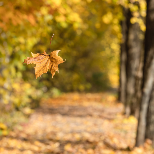 Photo #14101519