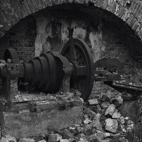 Photo #14101528
