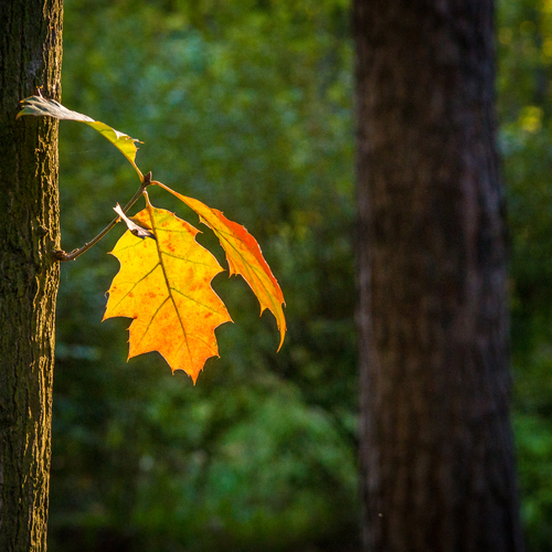 Photo #14101549