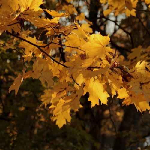 Photo #14101710
