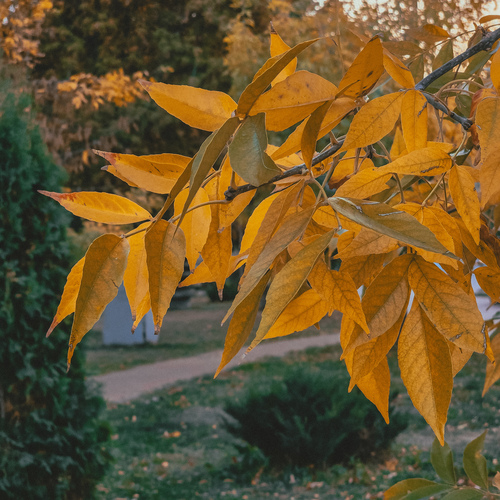 Фотография #14101742