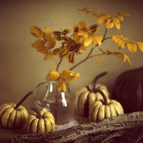 Photo #14101750