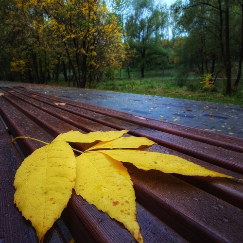 Photo #14101790