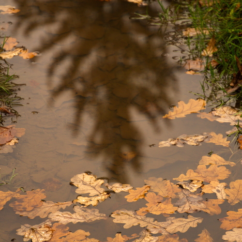 Photo #14101792