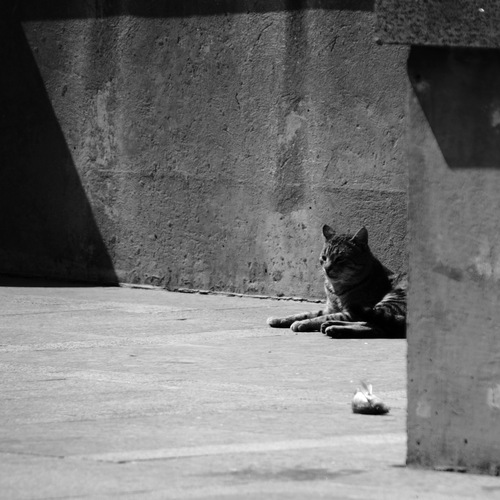 Photo #14101805