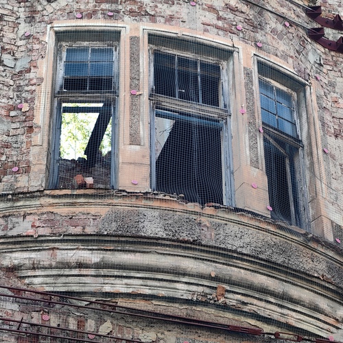 Photo #14101850