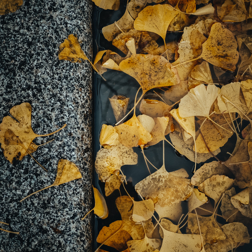 Photo #14101858