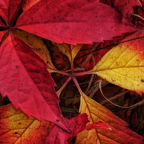 Photo #14101938