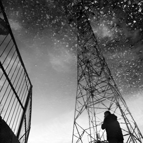 Photo #14101939