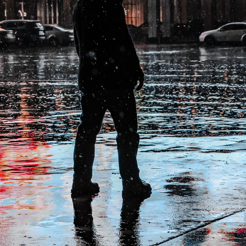 Photo #14101952