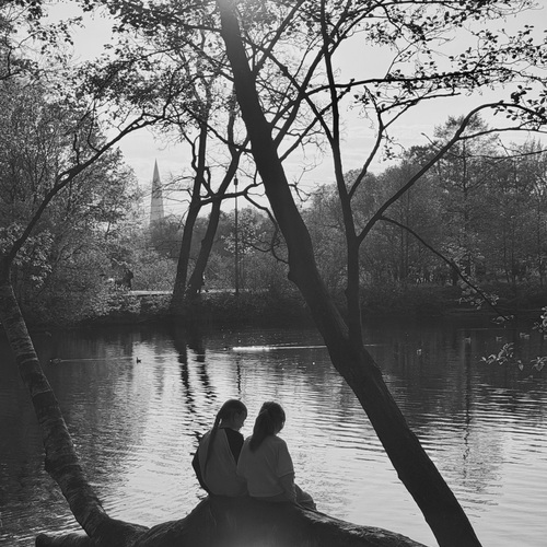 Photo #14101956