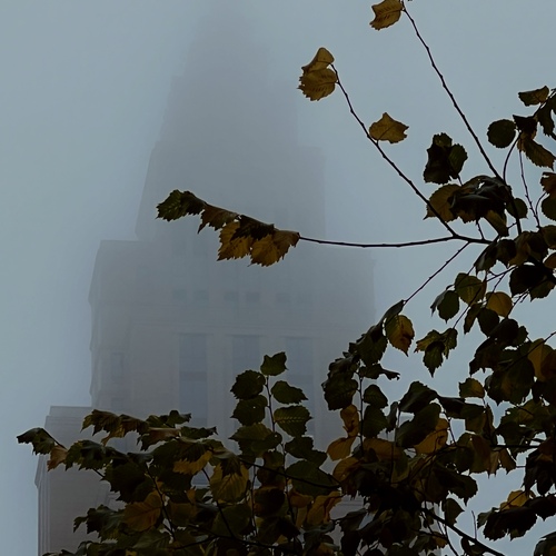 Photo #14101966