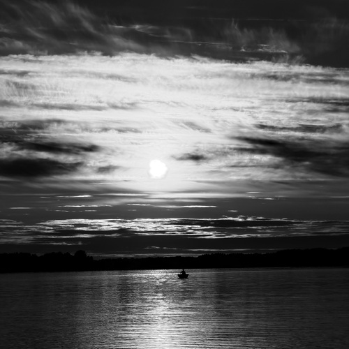 Photo #14101969