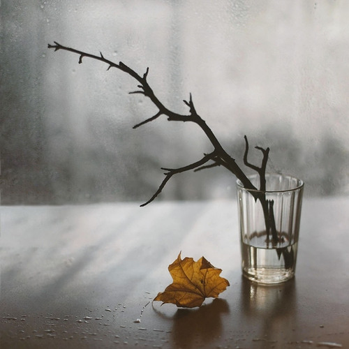 Photo #14102010