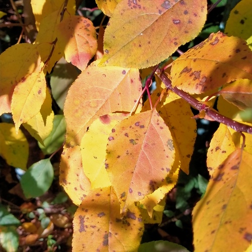 Photo #14102028