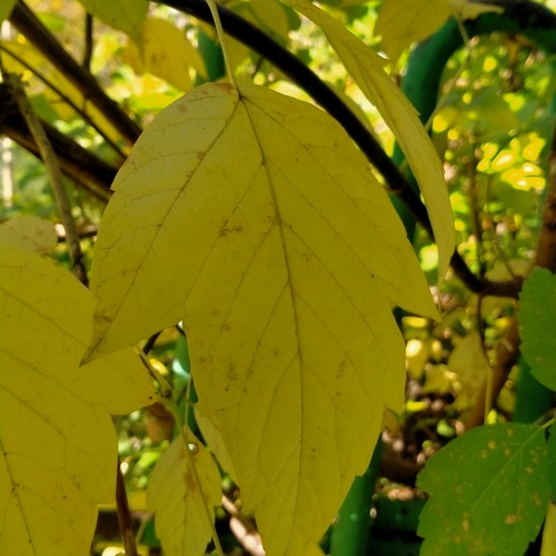 Photo #14102034