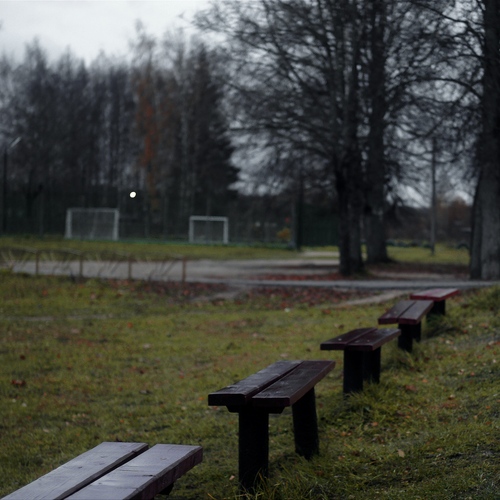 Photo #14102118