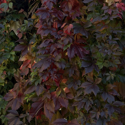 Photo #14102208