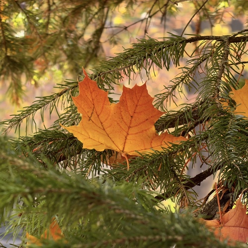 Photo #14102231