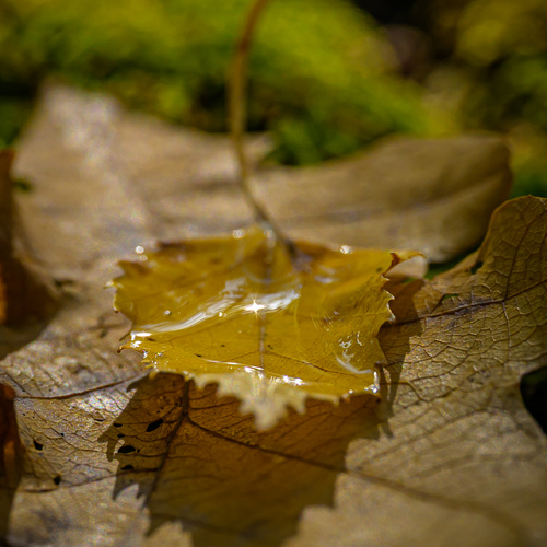 Photo #14102240