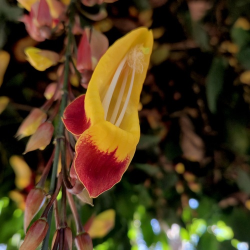 Photo #14102284