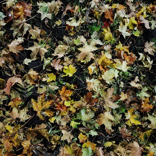 Photo #14102292