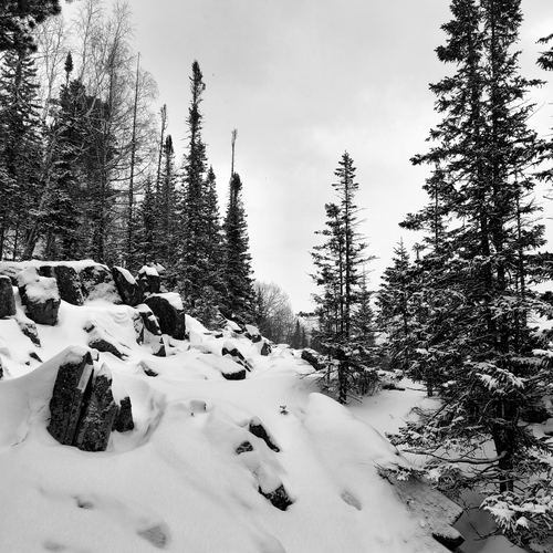 Photo #14102346