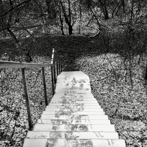 Photo #14102348