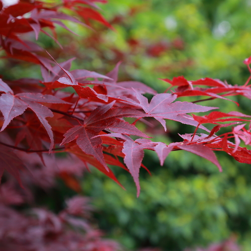 Photo #14102394