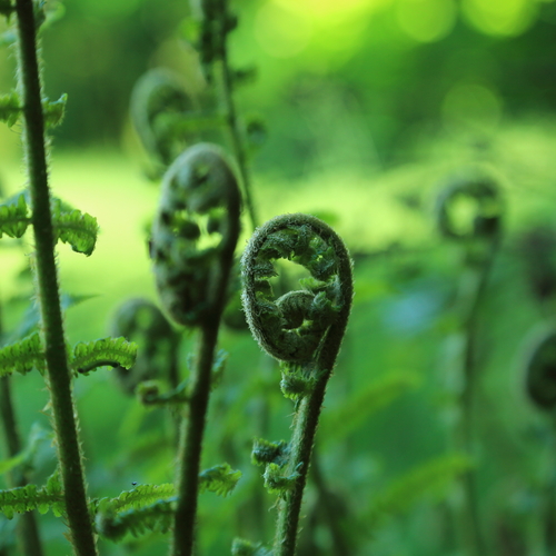 Photo #14102452