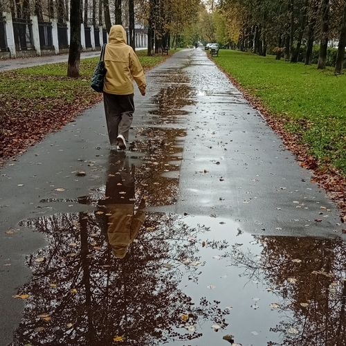 Photo #14102504