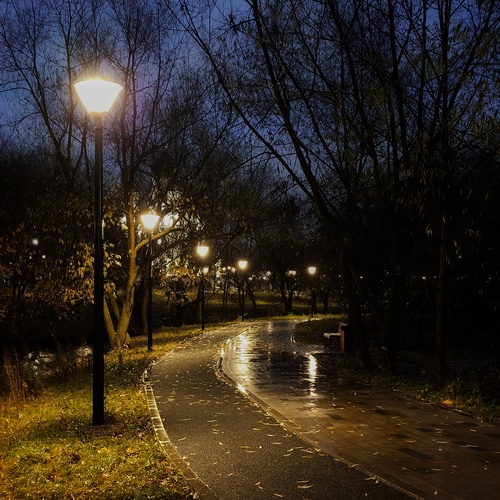 Photo #14102507