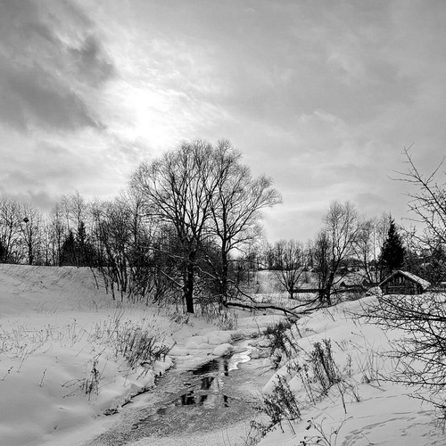 Photo #14102514